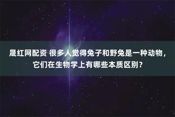晟红网配资 很多人觉得兔子和野兔是一种动物，它们在生物学上有哪些本质区别？