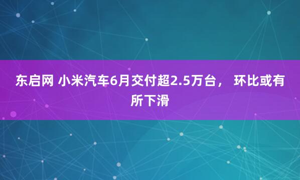 东启网 小米汽车6月交付超2.5万台， 环比或有所下滑